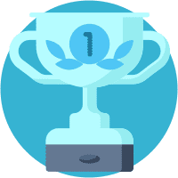 Website audit, online store audit