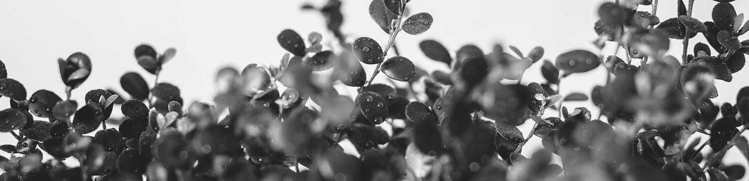 Audits and content strategies